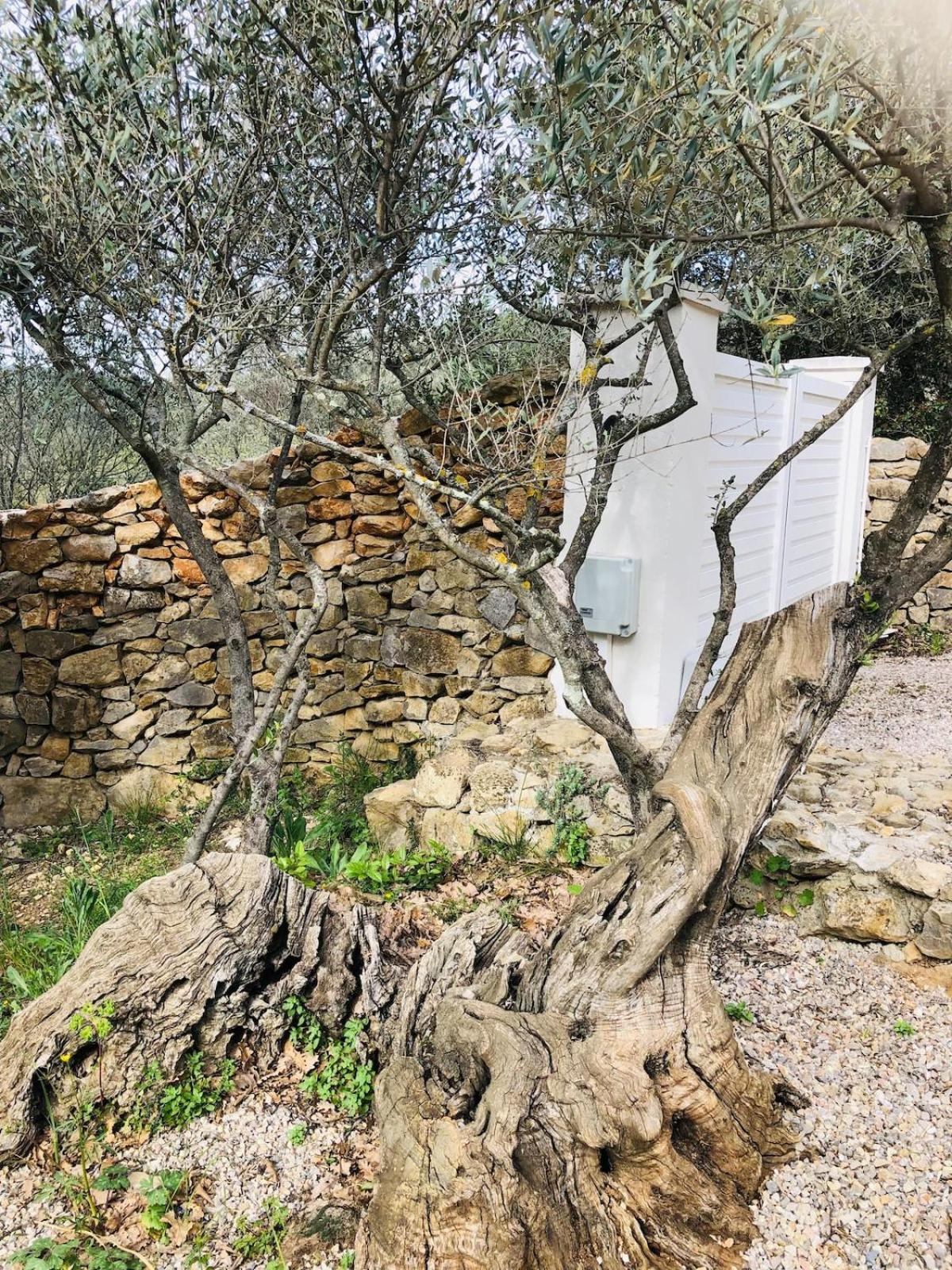 Villa Provencale Avec Piscine Dans La Nature Sollies-Toucas ภายนอก รูปภาพ